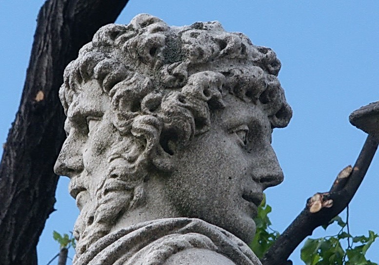 janus.jpg